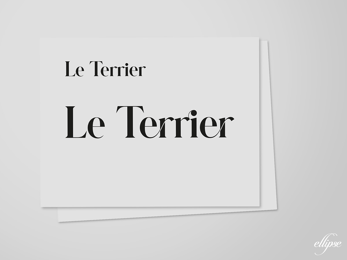 typographie-le-terrier